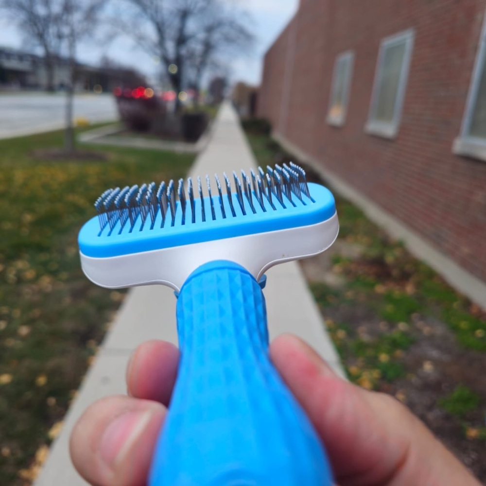 Blue Grooming Brush for cat